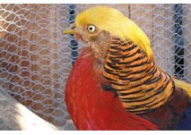 Tierpark Zurziberg in Bad Zurzach, copyright: Diana Tierpark Zurziberg in Bad Zurzach