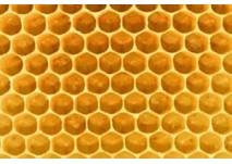 Schafisheim Bienenlehrpfad, copyright: Diana Schafisheim Bienenlehrpfad