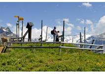 Naturlehrpfad "Brunni-Pfad", copyright: Luftseilbahn Engelberg-Brunni AG Naturlehrpfad "Brunni-Pfad"