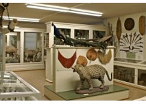 Museum Heiden, copyright: Museum Heiden Museum Heiden