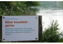 WWF Biberpfad am Rhein