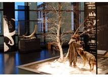 Museum für Urgeschichte(n) Zug