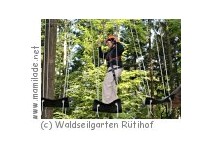 Waldseilgarten Rütihof Waldseilgarten Rütihof