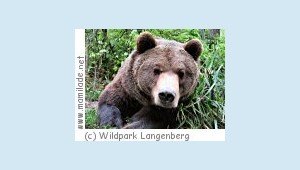 Wildpark Langenberg Wildpark Langenberg