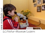 Luzern Naturmuseum Kindernachmittag Luzern Naturmuseum Kindernachmittag