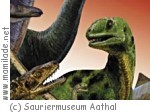 Aathal Sauriermuseum