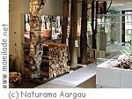 Aarau Naturama Aargau Aarau Naturama Aargau