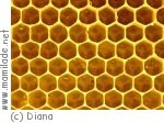 Schafisheim Bienenlehrpfad