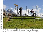 Engelberg Brunnipfad Engelberg Brunnipfad