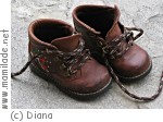 Alp- und Kulturweg Schrina Alp- und Kulturweg Schrina