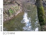 Pfyn Biberlehrpfad