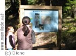 Buchs Volg Naturena Sinnespfad Buchs Volg Naturena Sinnespfad
