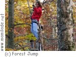 Forest Jump Forest Jump