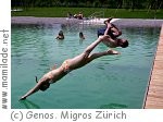 Naturpool Milandia in Greifensee Naturpool Milandia in Greifensee