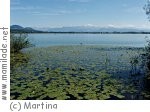 Rundgang um den Pfäffikersee Rundgang um den Pfäffikersee