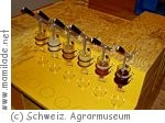 Bienenerlebnis im Museum Burgrain Bienenerlebnis im Museum Burgrain