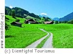 Alpenbockweg im Diemtigtal