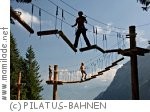 Pilatus Seilpark auf der Fräkmüntegg