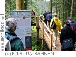 DrachenMoor Naturerlebnis Krienseregg