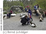 Kinderzoo im Tierpark Bern