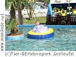 Tier-  & Erlebnispark Seeteufel
