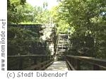 Burgruine Dübelstein bei Dübendorf