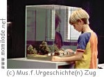 Museum für Urgeschichte(n) Zug Museum für Urgeschichte(n) Zug