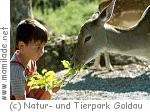 Natur- und Tierpark Goldau Natur- und Tierpark Goldau