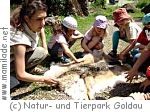 Kindergeburtstag im Natur- und Tierpark Goldau