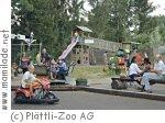 Spielplatz beim Plättli Zoo Frauenfeld Spielplatz beim Plättli Zoo Frauenfeld