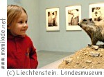 Liechtensteinisches Landesmuseum in Vaduz Liechtensteinisches Landesmuseum in Vaduz