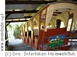 Drahtseilbahn Heimwehfluh in Matten bei Interlaken