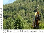 Sommerrodelbahn Heimwehfluh in Matten bei Interlaken Sommerrodelbahn Heimwehfluh in Matten bei Interlaken