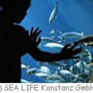 Kindergeburtstag im SEA LIFE in Konstanz SEA LIFE in Konstanz Kindergebutstag