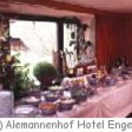 Alemannenhof Hotel Engel in Rickenbach Rickenbach Alemannenhof Hotel Engel