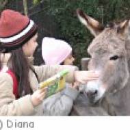 Zürich Zoo Kindergeburtstag Kindergeburtstag im Zoo Zürich