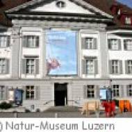 Luzern Natur-Museum Naturmuseum Luzern