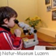 Natur-Museum Luzern