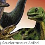 Aathal Sauriermuseum Aathal Sauriermuseum