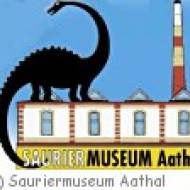 Aathal Sauriermuseum Kindergeburtstag Aathal Sauriermuseum