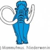 Mammutmuseum Niederweningen Mammutmuseum Niederweningen