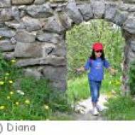 Ruine Wildschloss in Vaduz