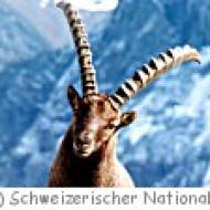 Schweizerischer Nationalpark Schweizerischer Nationalpark