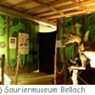 Bellach Sauriermuseum Bellach Sauriermuseum