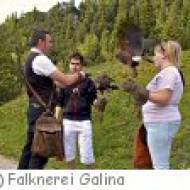 Falknerei Galina