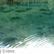 Flims Crestasee Crestasee