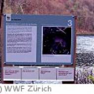 WWF Biberpfad am Rhein WWF Biberpfad am Rhein