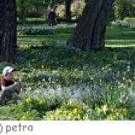 Park im Grüene Rüschlikon
