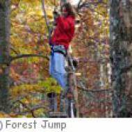 Forest Jump