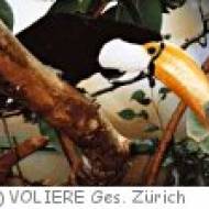 Voliere Gesellschaft Zürich Voliere Gesellschaft Zürich
